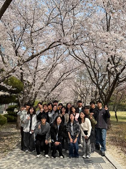 Out for cherry blossoms. Apr 3, 2026.